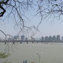 서호(여) Daum카페