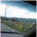 화촌지구대 Daum카페