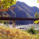 공작산 휴양림 펜션 이미지