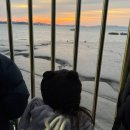 도리포 | 일출 명소 무안 도리포 2026년 새해 해돋이 후기