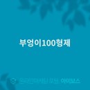 부엉이100형제