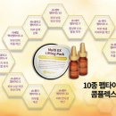 엘리시엔