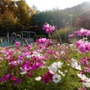 원적산체육공원 이미지