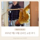 동송이불 | 9월 10월 내돈내산 인스타그램 인플루언서 공구 후기