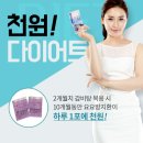 원다이어트