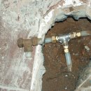 하대동119 이미지