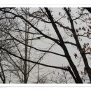 천수암 위 이미지