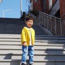 로드메디 이미지