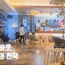 도그어바웃 이미지