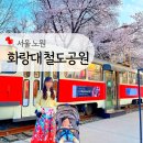 화랑공원남편 | 서울 노원 화랑대 철도공원과 경춘선 숲길 늦은 벚꽃, 아기랑 서울 봄나들이 명소 추천