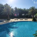 휘닉스 실외수영장 이미지