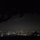 2층주간코스 이미지