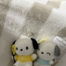 새찌네일 이미지