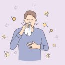 메디인폴스 이미지