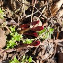 청풍농장 이미지