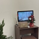 살구공방 | 담금주공방 유유히 홍대 원데이클레스 후기 홍대놀거리 추천