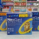 수유온누리약국 이미지