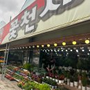 꽃천사화원 | [성남 분당 꽃집] 꽃집 정착했습니다! '꽃천사화원' 도촌동화훼단지 추천 꽃집
