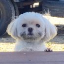 라벨르 스파 펜션 이미지