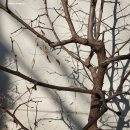 보이지 않는 것과 이미지