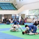 주짓수 쎈짐 이미지