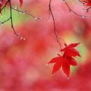 상일축사 이미지