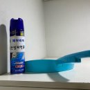 꽃사슴이불 | 상당산성 자연휴양림 청주 힐링 장소로 추천! 502호 꽃사슴 후기