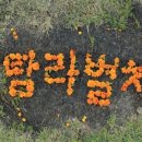 탐라에어 - 서귀포시 보성구억로126번길 60-2 | 탐라에어