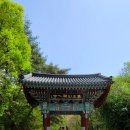 🏖서해랑길 64-3코스(지선3코스) 18.2km (20240417)