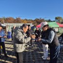 제3회 강릉시노인회장기 파크골프대회 출전 이미지