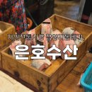 자인수산 | 경산 자인시장 은호수산 신선한 생선 상어돔베기