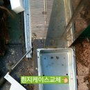 황소미가 이미지