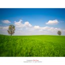 느티나무목장 이미지