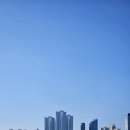 1000cc 커피 이미지