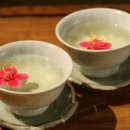 롯데웰치과의원 이미지