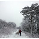 바람개비 이미지