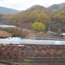 추평농장 이미지