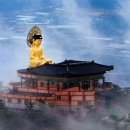 동양무선 이미지