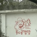 대구근교 경남 글램핑장 숙소 추천 거창 봉스글램핑 카라반 단층 그램핑B 갔다온 후기 +) 준비물 정리