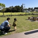 가시머뭄 이미지