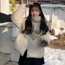 모노데일리