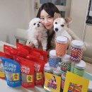 마이펫스토어 이미지