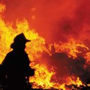 bushfire_main.jpg 이미지