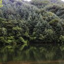 국망봉자연휴양림 이미지