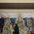 더브릿지 | 윈덤그랜드 부산 뷔페 더브릿지 주말 디너 후기, 추천 메뉴