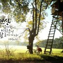 캘리그라피(1급) 이미지