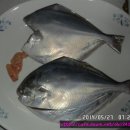 남도홍어와 목포먹갈치 생선카페-병어조림 만드는 법/병어 손질법 이미지