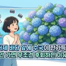 실전마을세천 | 거제 저구항 수국길 코스 6월에 안 가면 손해? 2026 개화시기 주차 포토존 핵심 정리