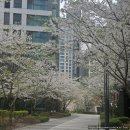 아크로원베일리공인중개사사무소 이미지