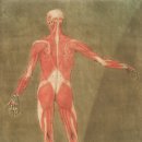 명당한의원 이미지